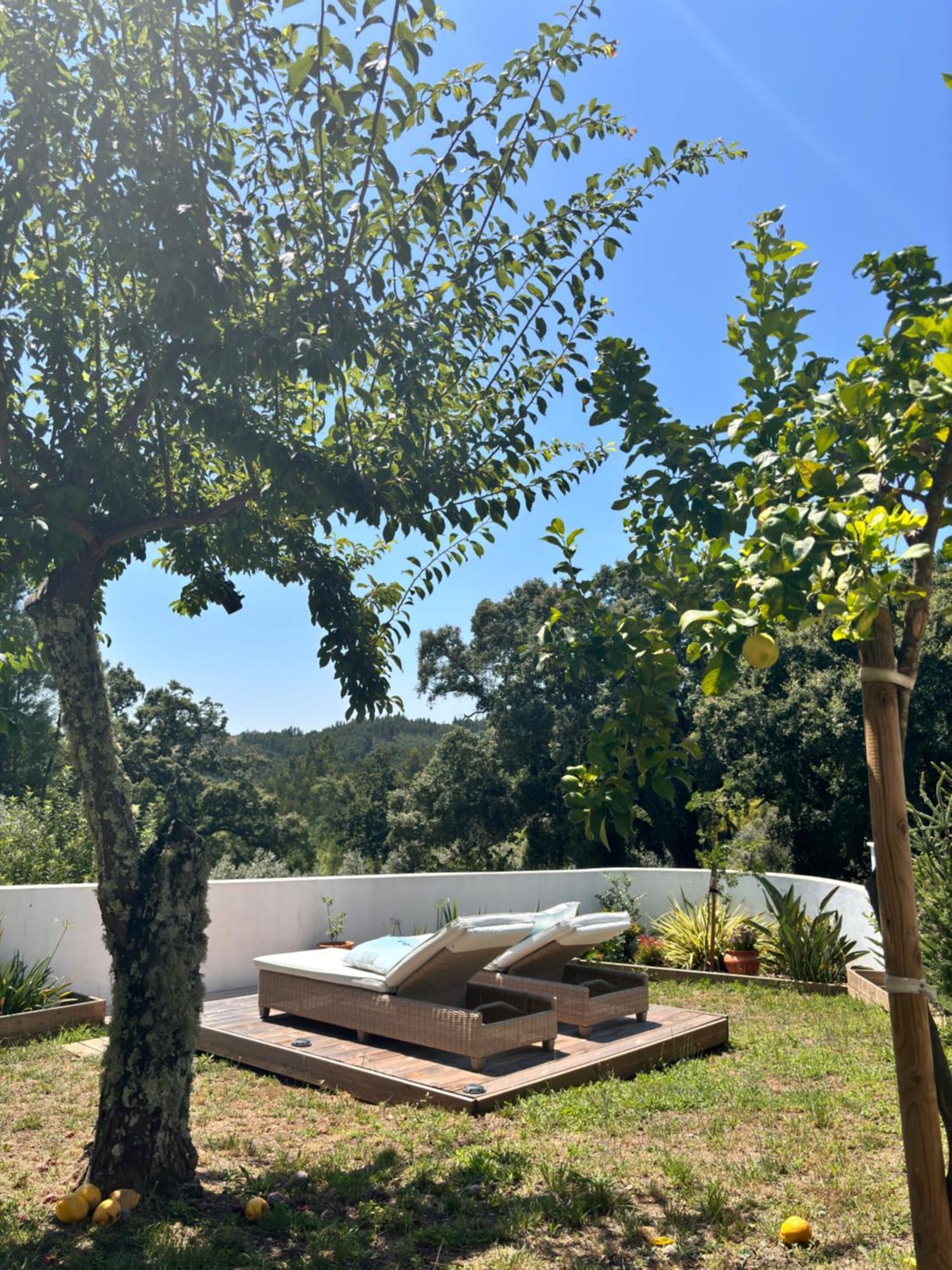 Casa Da Oliveira Bed & Breakfast Pedrogao Grande Dış mekan fotoğraf
